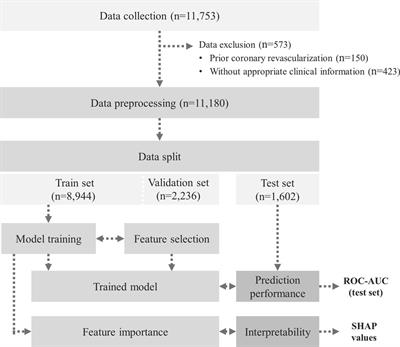 Deep learning-based prediction for significant coronary artery stenosis on coronary computed tomography angiography in asymptomatic populations